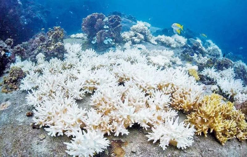 45fd5e1f1d932a96fabac7c36980d25c.jpg 3.jpg